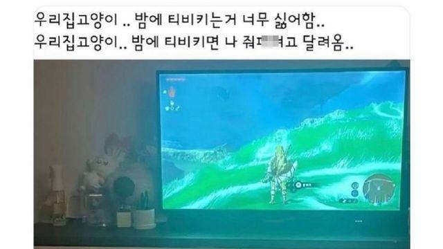 우리집 고양이 밤에 티비 켜면 달려와.jpg