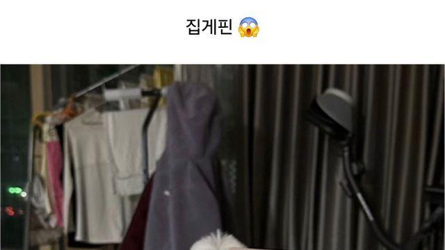 이거 무서워 하는 강아지 많다구 함wow