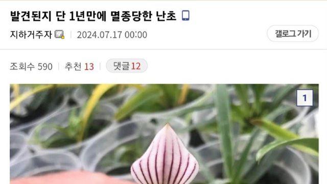 발견된지 1년만에 멸종 당한 난초