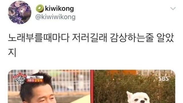 강아지가 눈을 게슴츠레 뜨는 의미⋯