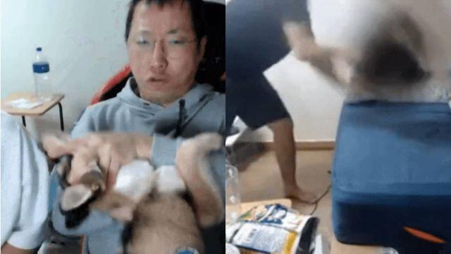 동물학대 코인 유튜버 승냥이, 또다시 강아지 10분 만에 파양 논란 