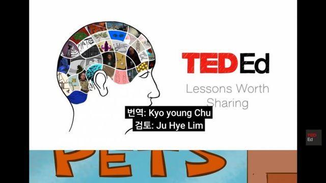 길고양이 만지면 과학적으로 조현병 걸릴 수 있는 이유