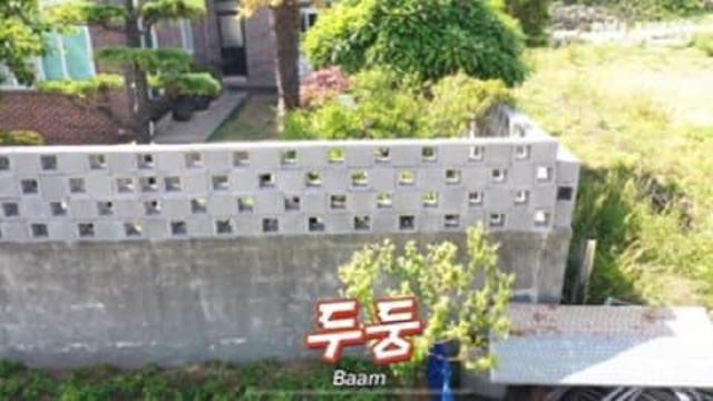 새로 생긴 가족이 너무 좋았던 댕댕이가 매일 한 행동