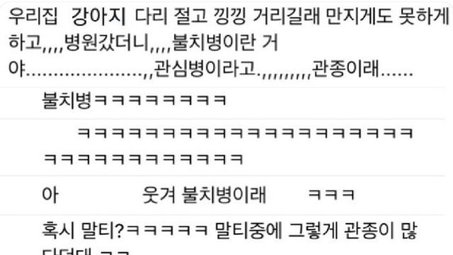 강아지가 다리젊 불치병⋯!