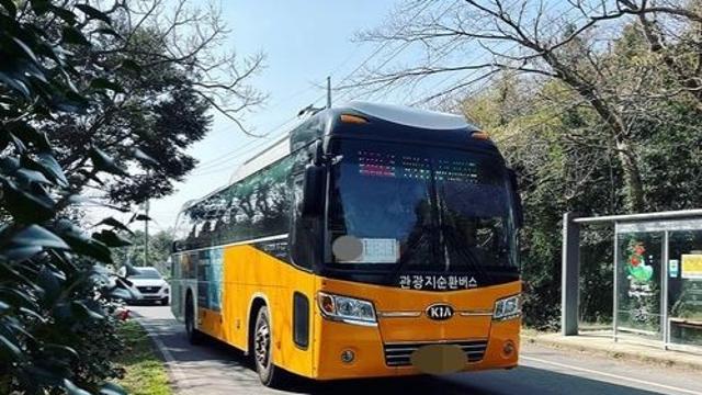 '여행객 외면' 제주 관광지 순환버스 18대→7대 축소