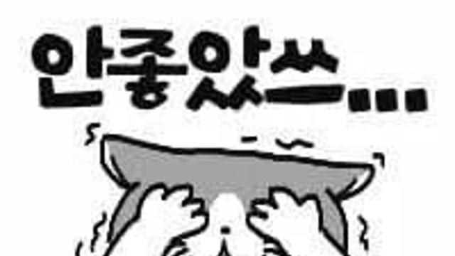 처음으로 양일 간 7코후기