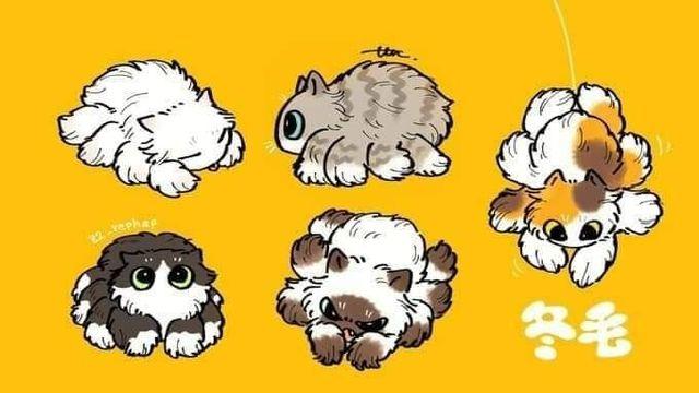 북실북실 타란튤라 냥이:)