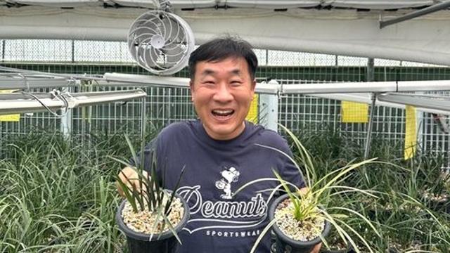 베트남 한인 동포, 미등록 희귀종 난초 발견…독일 학회서 인정