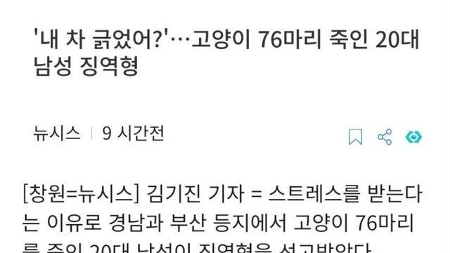 냥이 76마리 죽인 20대 남성 징역형