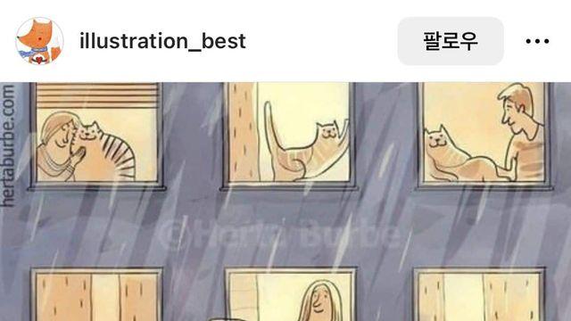 고양이가 짱인이유,,