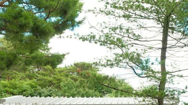 올여름 찾아가 봐야 할 서울 한옥카페 3