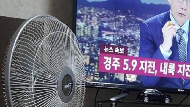 고양이가 지진에 민감하다는 증거.jpg,,