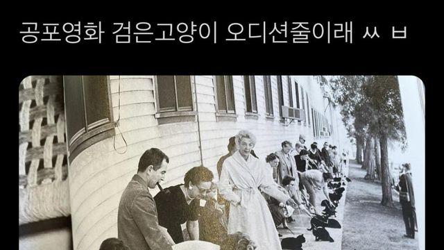 공포영화 검은고양이 오디션 현장