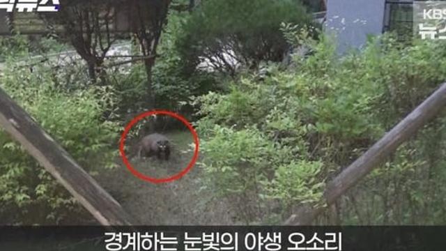 한밤 아파트 분리수거장, 엄마! 저게 뭐지?.jpg