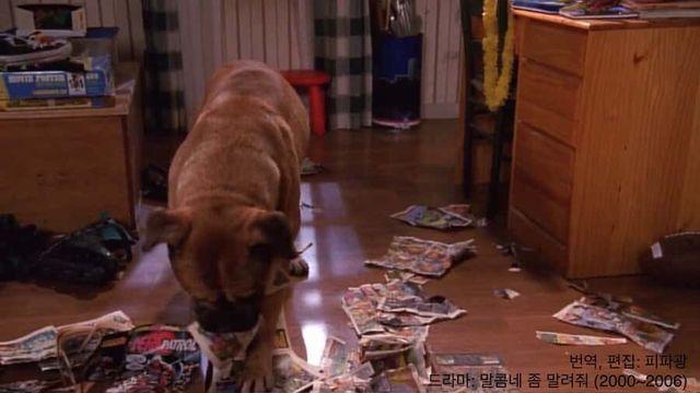밖에서 개를 데려온 막내.jpg..