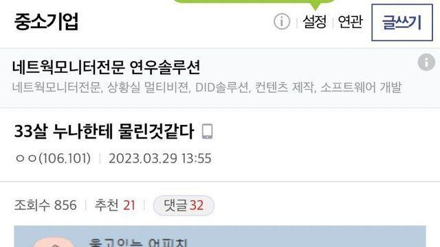 33살 누나한테 물린 것 같다는 중갤러