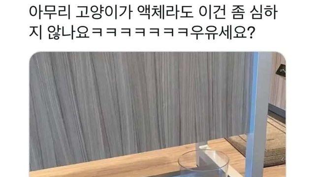 아무리 고양이가 액체라지만…,,