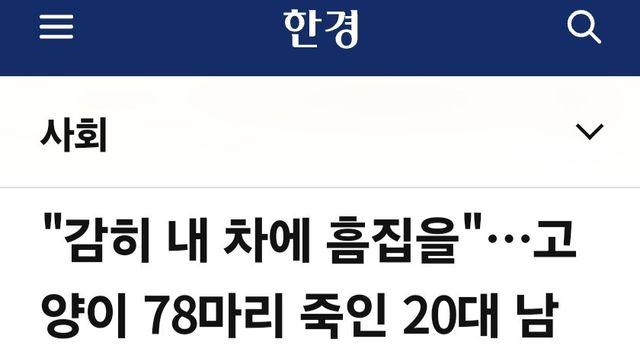 주인 없는 길고양이 대량 도륙한 남성