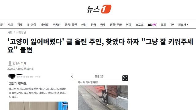 '고양이 잃어버렸다' 글 올린 주인, 찾았다 하자 