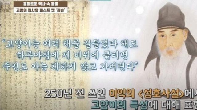 조선시대에 기록된 고양이 특성.jpg!!!