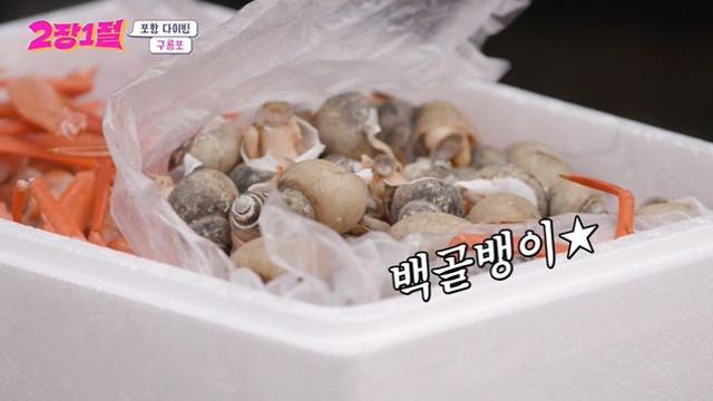 이거 똥인 거 알았다 몰랐다???