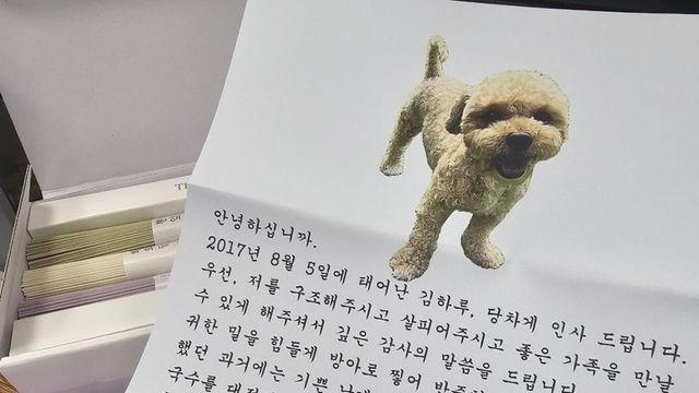 입양 보낸 강아지가 편지를 보내왔다.jpg