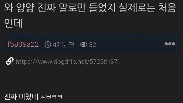 극악무도하기 짝이없는 양양군바이럴⋯