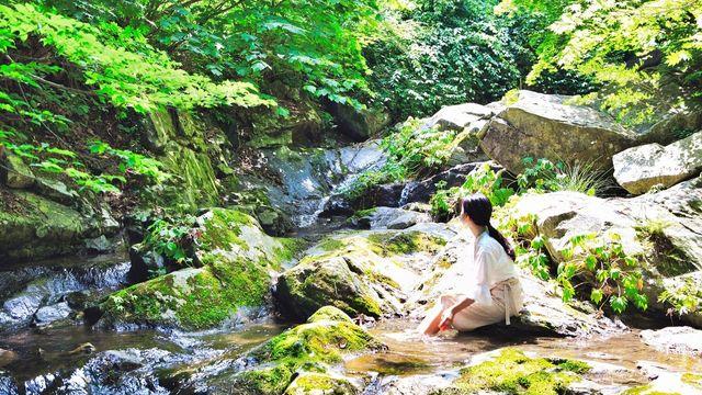 여름 피서지 '아침고요수목원'에서 시원한 계곡물에 발 담그고 정원 탐방하고! 