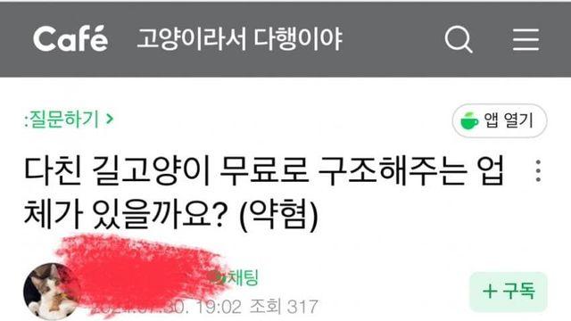 다친 길고양이 무료로 구조해주는 업체가 있을까요??