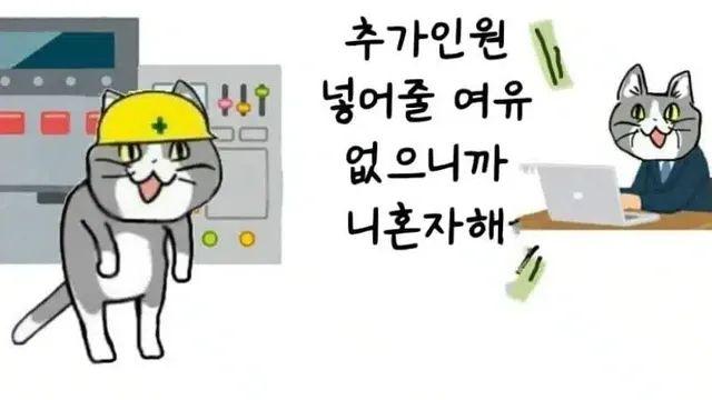 졷소 고양이.jpg..