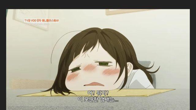 집사가 만취로 귀가하면 냥냥이가 해주는 것
