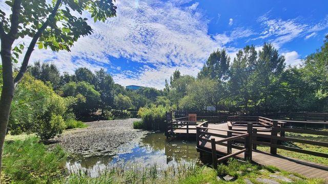 일상 속 힐링여행지 ‘아름다운 도시숲 50선’