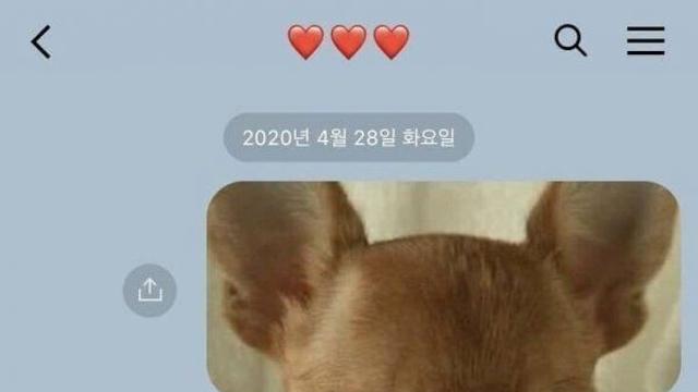 새벽 3시 헤어진지 얼마안된 전여자친구에게 보낸 카톡,,
