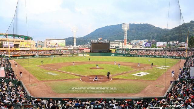 '폭염도 막지 못한다' 야구 열기 뜨겁다!...한화, 시즌 38번째 홈경기 매진 달성 [대전 현장]