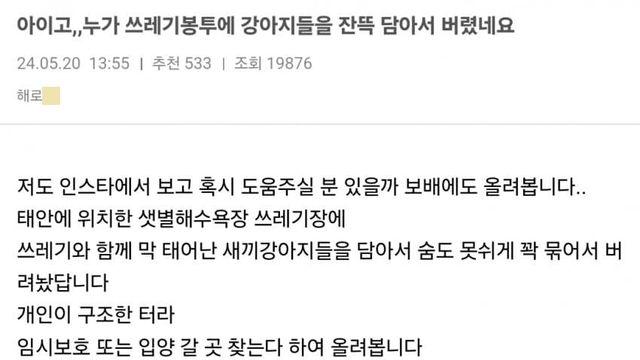 쓰레기봉투 속에 버려진 눈도 못 뜬 댕댕이 7마리