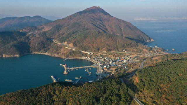 가덕도신공항의 높은 조류 충돌 위험성이 간과되는 이유는 무엇일까?