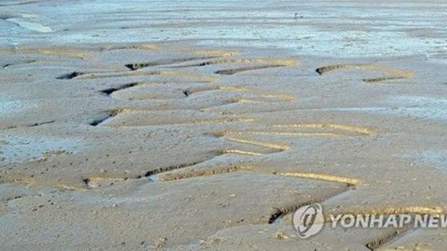 인천 강화도 갯벌서 어패류 잡던 50대 실종…해경 수색
