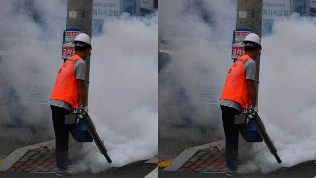 서울에서 일본뇌염을 옮기는 '작은빨간집모기'가 발견됐다… 올해 처음이다