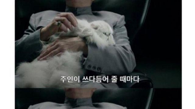 고양이 쓰다듬으면..