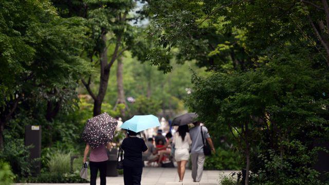 [내일날씨] 입추에도 찜통더위…곳곳 소나기