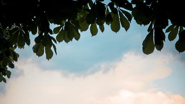 잘츠부르크에서 여름에 알프스를 잘 즐기는 방법 3가지