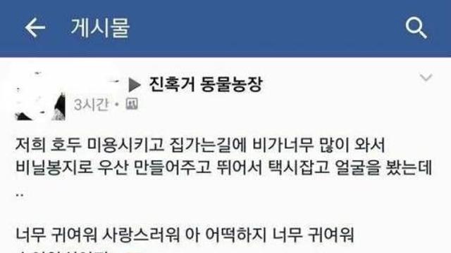강아지에게 비닐봉지 씌워쥼.jpg,,