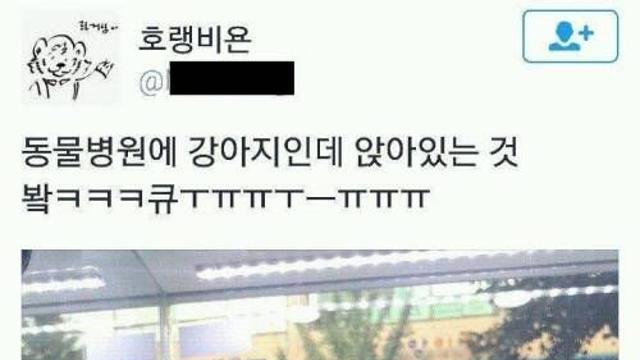 동물병원에 앉아 있는 강아지.twt,,