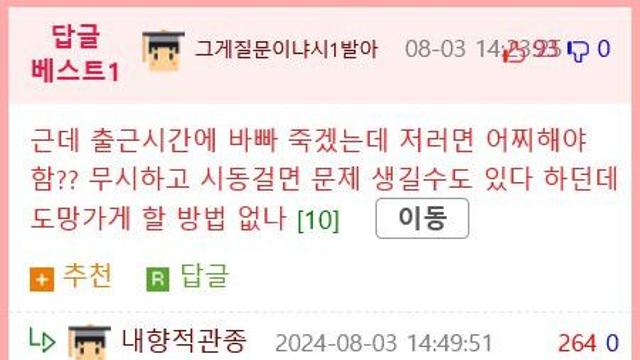차에 들어간 고양이를 생포한 유튜버