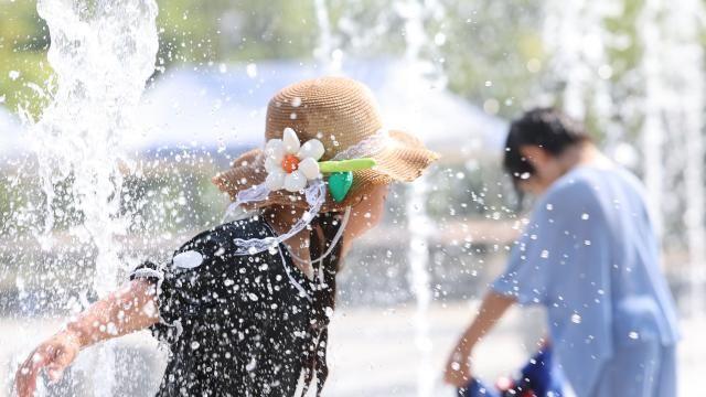 [내일 날씨] 전국 곳곳 소나기에 체감 35도…'찜통더위' 계속