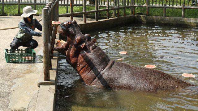폭염 속 소나기, ‘한증막더위’…한낮 35도[오늘날씨]