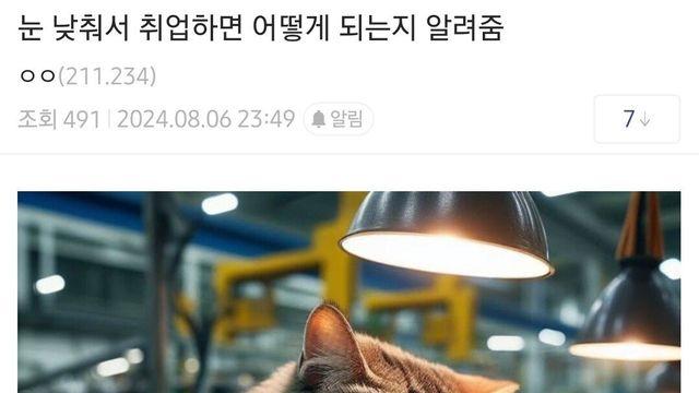 눈 낮춰서 취업하면 벌어지는 일