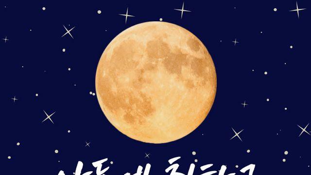 안동의 전통주와 함께하는 ‘월영 여름 특별장터’ 개최