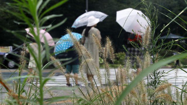 [내일날씨] 낮 최고 35도… '폭염' 속 강한 소나기