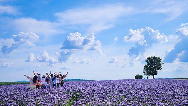 체코 여행이 N번째라면 꼭 가봐야 할 여행지 ‘모라비아’
